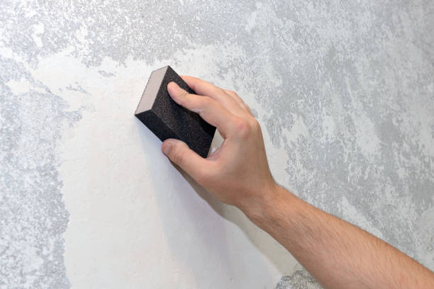 Best Post-Construction Mold Inspection  in Belleair Beach, FL