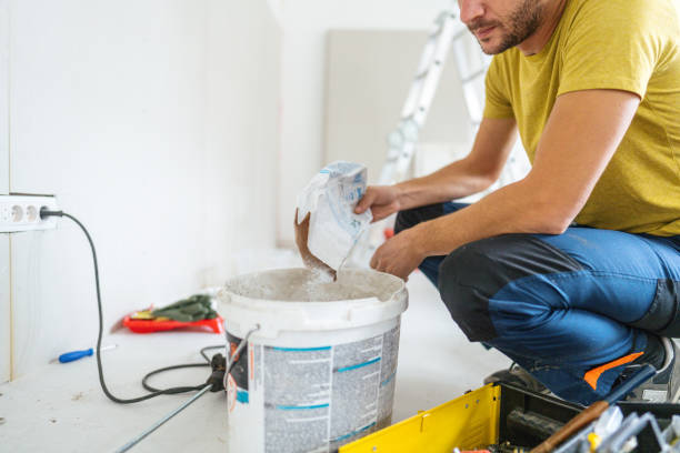 Professional Mold Removal in Belleair Beach, FL