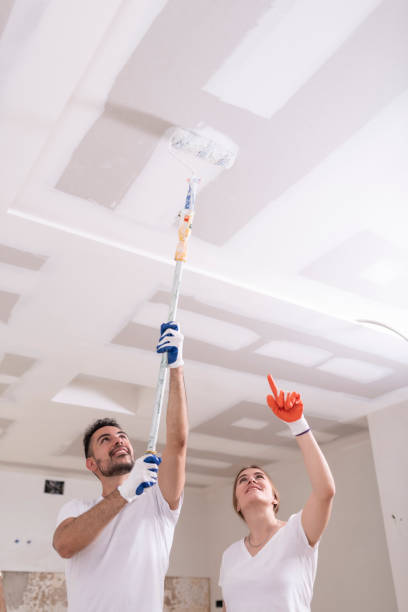 Best Industrial Mold Remediation  in Belleair Beach, FL