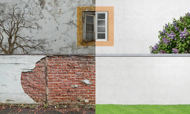 Best Mold Documentation for Insurance Claims  in Belleair Beach, FL